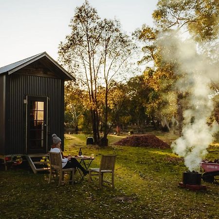 Ardingly Tiny House Villa Newham Eksteriør bilde