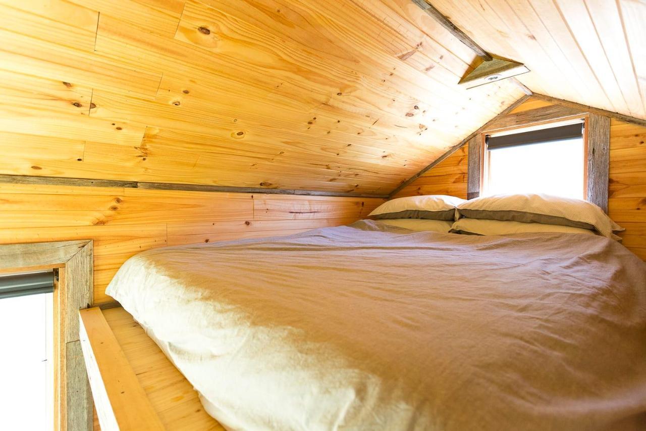 Ardingly Tiny House Villa Newham Eksteriør bilde