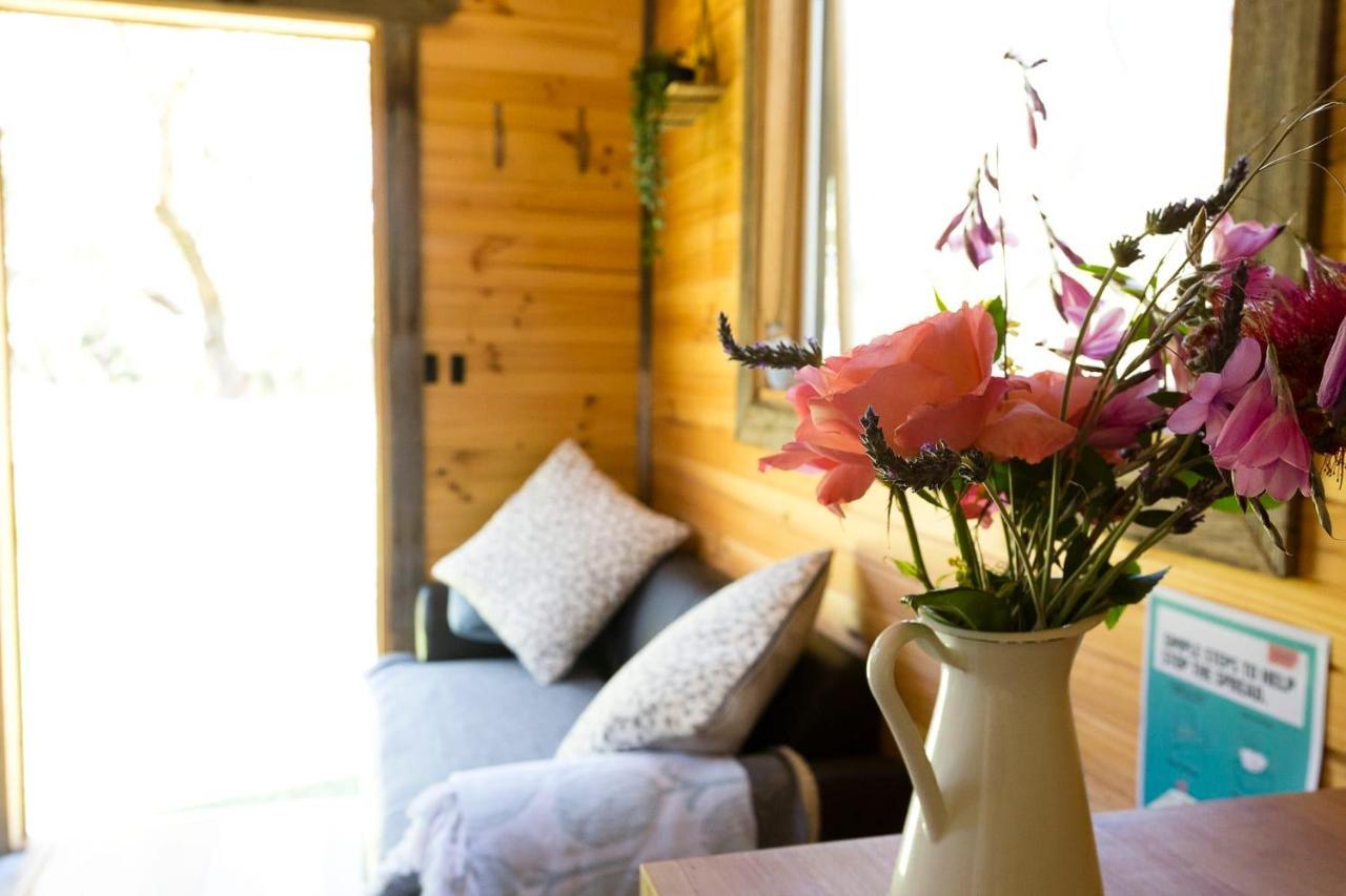 Ardingly Tiny House Villa Newham Eksteriør bilde